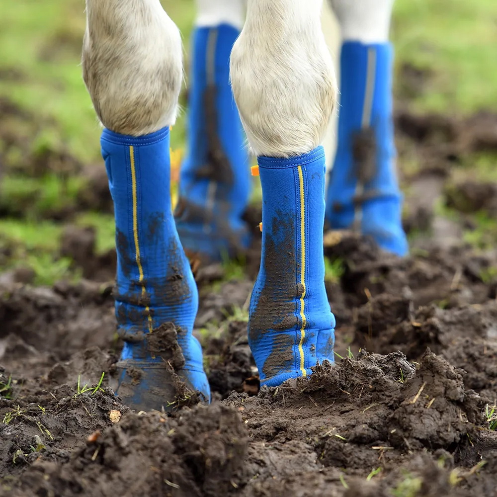 Equilibrium Equi-Chaps Close Contact Chaps EQB1200 - Navy / Yellow